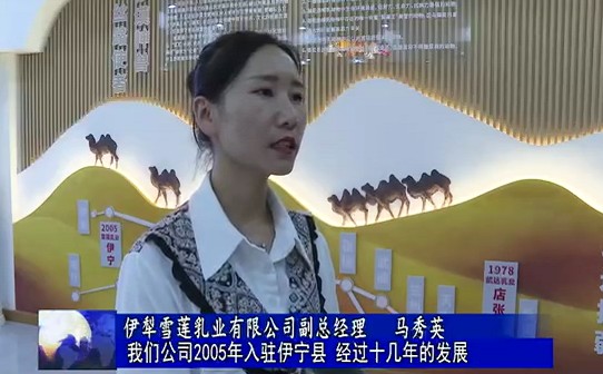 11副总经理_副本