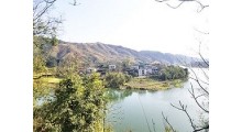 湖州茶园加盟，浙江茶山加盟，湖州转运珍茶图1