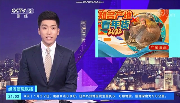 清远鸡