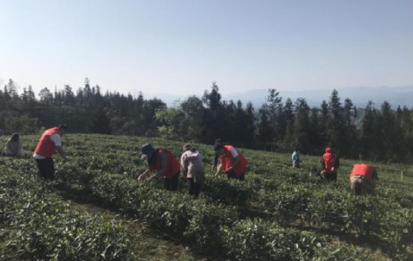 QQ截图20220402150941