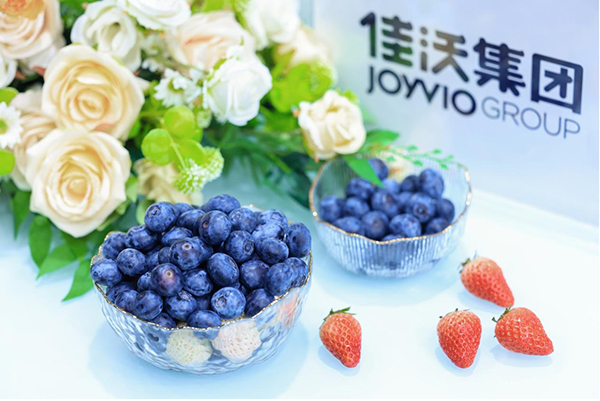 6图片 1.jpg 6图片 1.jpg