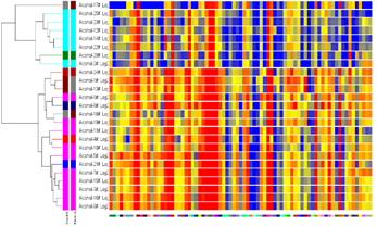 1649821588619799.png 512.png