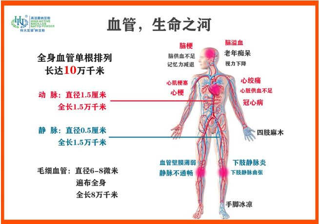 QQ截图20220520145551