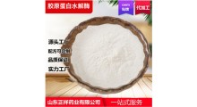 水解酶蛋白 小分子蛋白加工 植物蛋*****粗粮加酶图1