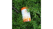 驼奶厂家招商西安 驼奶饮品招商图2