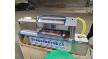 鸡蛋剥壳机 自动剥壳机 剥壳机厂家图3