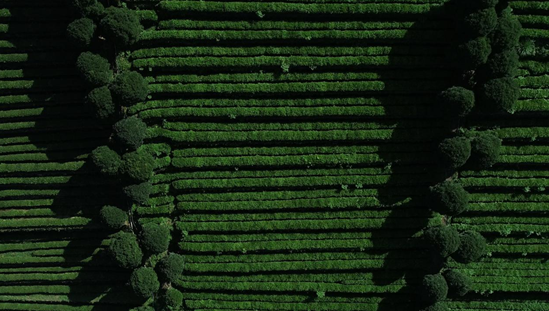 QQ截图20220719112847