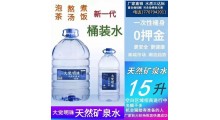 公司定制大桶水15升图2