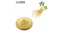 人参皂甙80%人参提取物人参总皂甙人参皂苷图1
