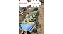 山东烟台志明牌可调式红枣分级机图2