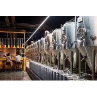 生产精酿啤酒的设备 2吨啤酒设备 啤酒设备厂家生产