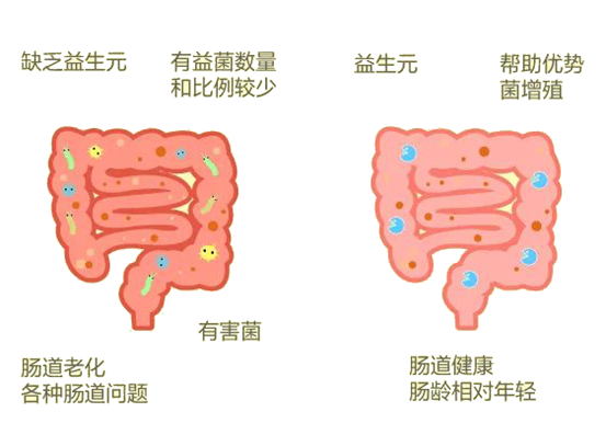 1665978559308949.png image.png