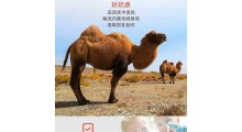 畅哺驼奶粉图1