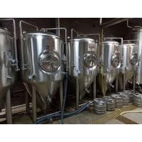 辽宁小型精酿啤酒设备供应厂家日产2吨的啤酒设备饭店酿酒设备