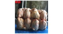 老母鸡批发价格山东有路生产厂家批发报价图2