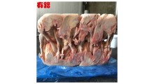 老母鸡批发价格山东有路生产厂家批发报价图3