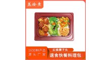 江苏中餐便当料理包供货商 即食方便菜红烧狮子头半成品预制菜图2