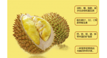 进口水果报关报检流程图1