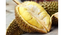 进口水果清关需多少天图1