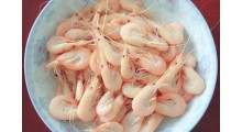 天津进口白虾清关费用图1