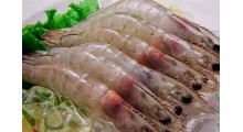天津进口白虾代理报关图2