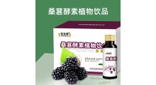百未草桑葚酵素植物饮品源头生产  oem代加工图2