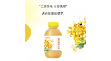 菊花植物饮料源头生产  oem代加工图1