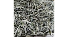 峨眉直条毛峰 雪芽 乐山一芽一叶直形茶 毛尖图1
