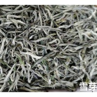 峨眉直条毛峰 雪芽 乐山一芽一叶直形茶 毛尖