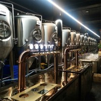 2000升精酿啤酒设备 啤酒发酵罐 酿造啤酒的机器