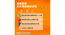 伊禧堂青海小果沙棘原浆 代理批发 一件代发图3