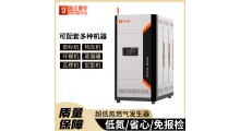 3台1T并联节能全预混贯流超低氮燃气蒸汽发生器图3