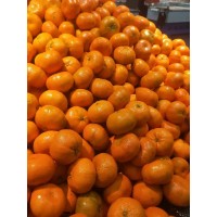 进口南非柑橘需要的清关手续和流程