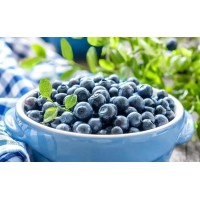 美国进口蓝莓清关流程和准备单证分享