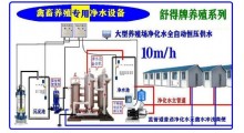 原水处理设备养殖机械井水过滤器河水净水机养鸡场机械化养鸡场饮水器图5