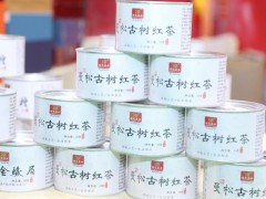 2023第21届中国（上海）国际茶叶展览会