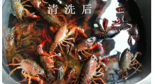 小龙虾牡蛎螃蟹斑节虾超声波食品清洗机图3