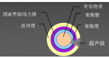 雷士LSA-CE600双频超声波萃取食品机械图2