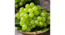 浓缩白葡萄（青提）汁浓缩果汁果蔬原料图3
