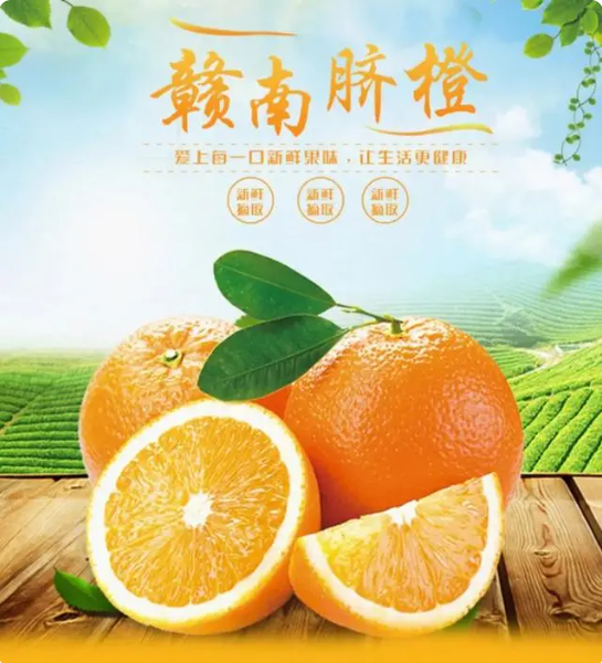 QQ截图20230825120740