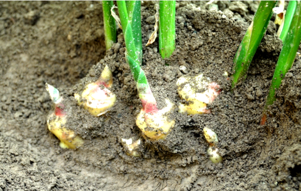 QQ截图20231020110717