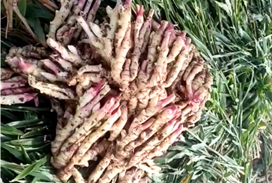 QQ截图20231020110734