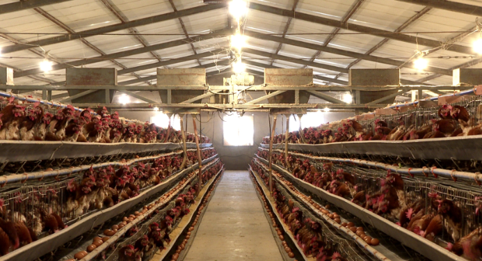 QQ截图20231020110940