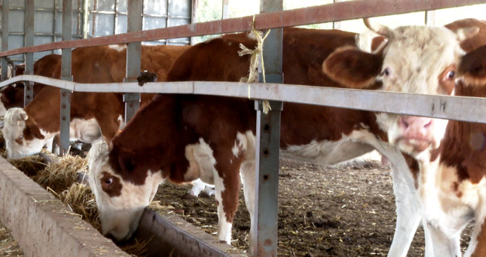 QQ截图20231020110947