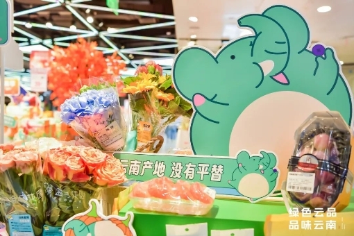 “绿色云品 品味云南”绿色云品市集在上海举办