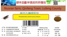 美洲大蠊干品、美洲大蠊超微粉、美洲大蠊提取物（膏或粉）图5