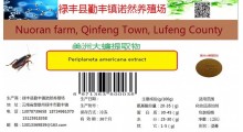 美洲大蠊干品、美洲大蠊超微粉、美洲大蠊提取物（膏或粉）图6