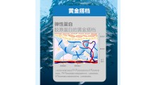 透明质酸钠燕窝胶原蛋白饮 肌肤喝饱水 oem定制 量大优惠 配方 包装可选图5
