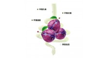 乌梅西梅汁酵素饮品 益生 综合果蔬发酵液果蔬饮 益生元纤维饮料oem定制图2
