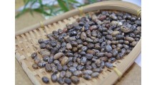 进出口报关，货物运输 仓储 贸易代理图1